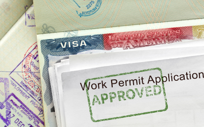 Malta Work Visa Secrets: Beyond the Job Offer (What Really Matters!)