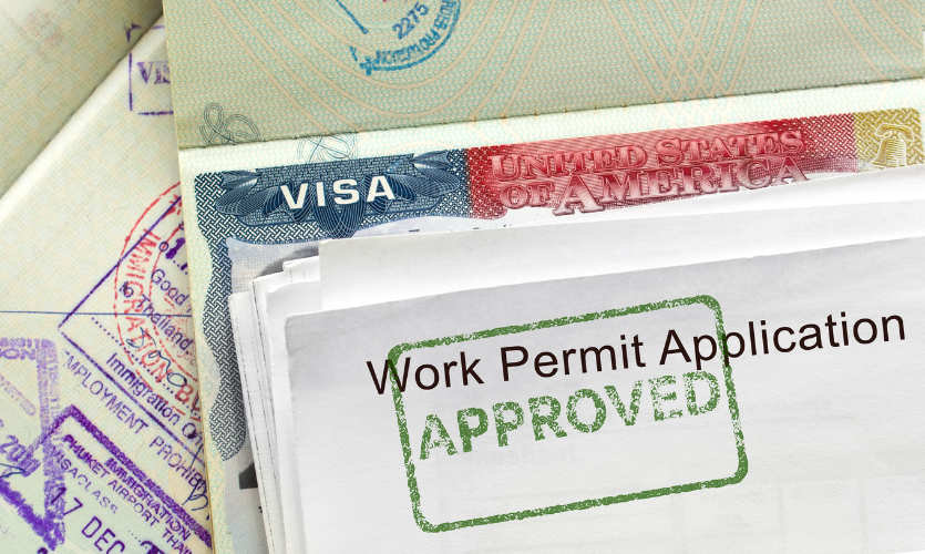 Malta Work Visa Secrets: Beyond the Job Offer (What Really Matters!)