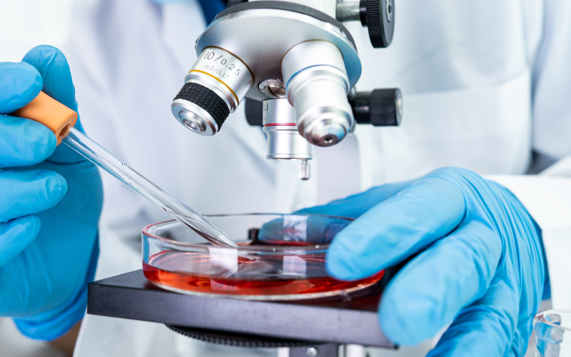 Unlock Malta’s Hidden Opportunities: Your Guide to Research and Medical Visas